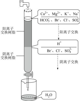 離子交換法凈化水的過程如圖所示。下列說法中正確的是(  )