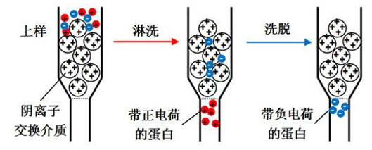 離子交換