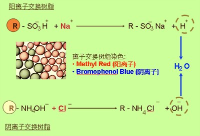 全屏顯示課程 章節(jié)