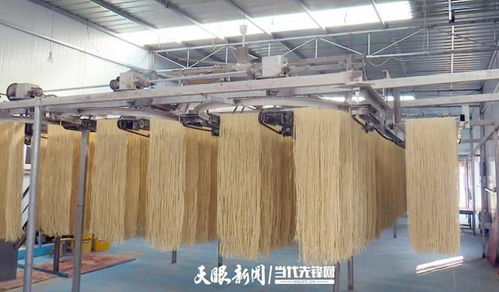 赫章縣六曲河鎮(zhèn) 小麥面條上餐桌 群眾致富奔小康